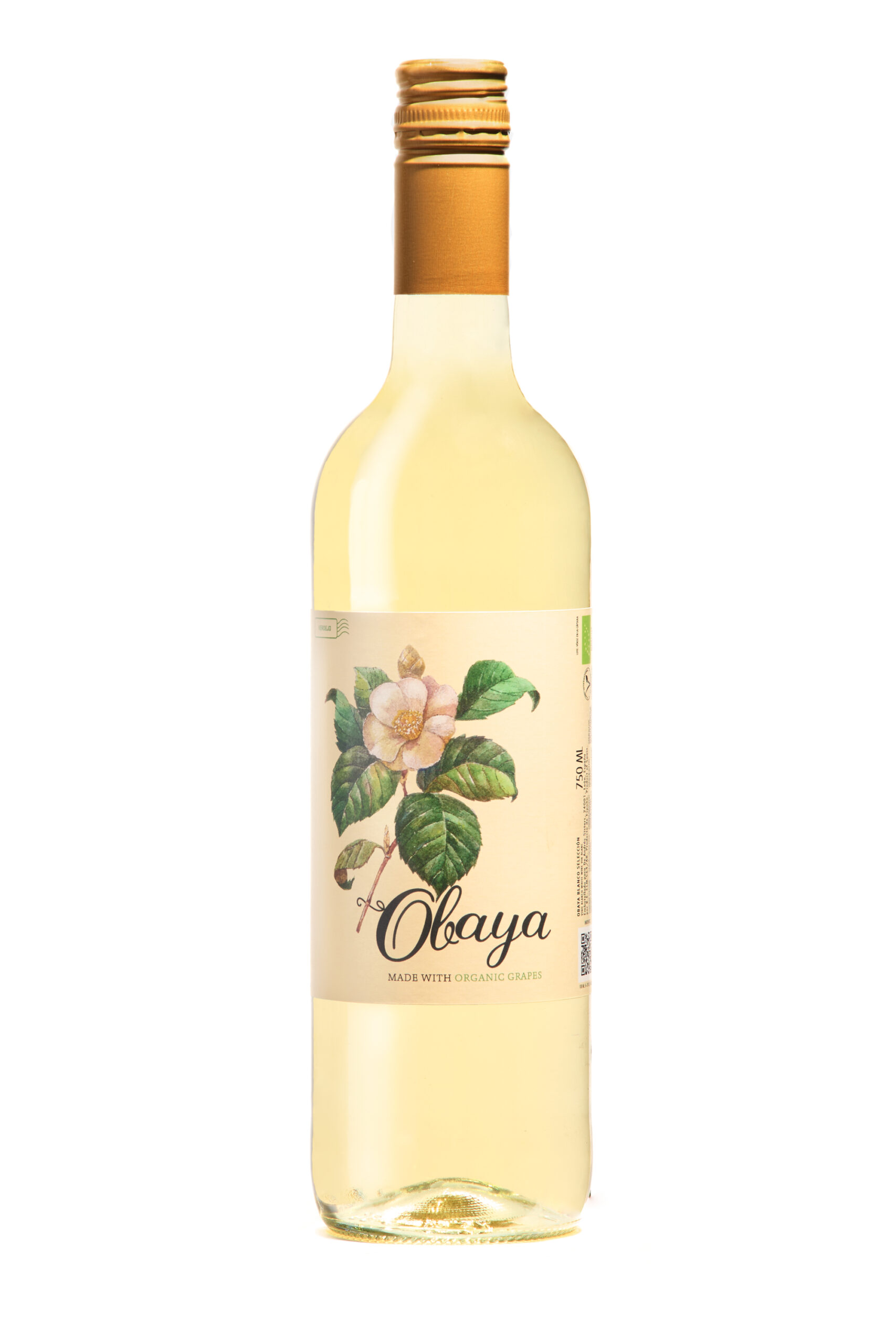 BEST WHITE WINE FROM SPAIN