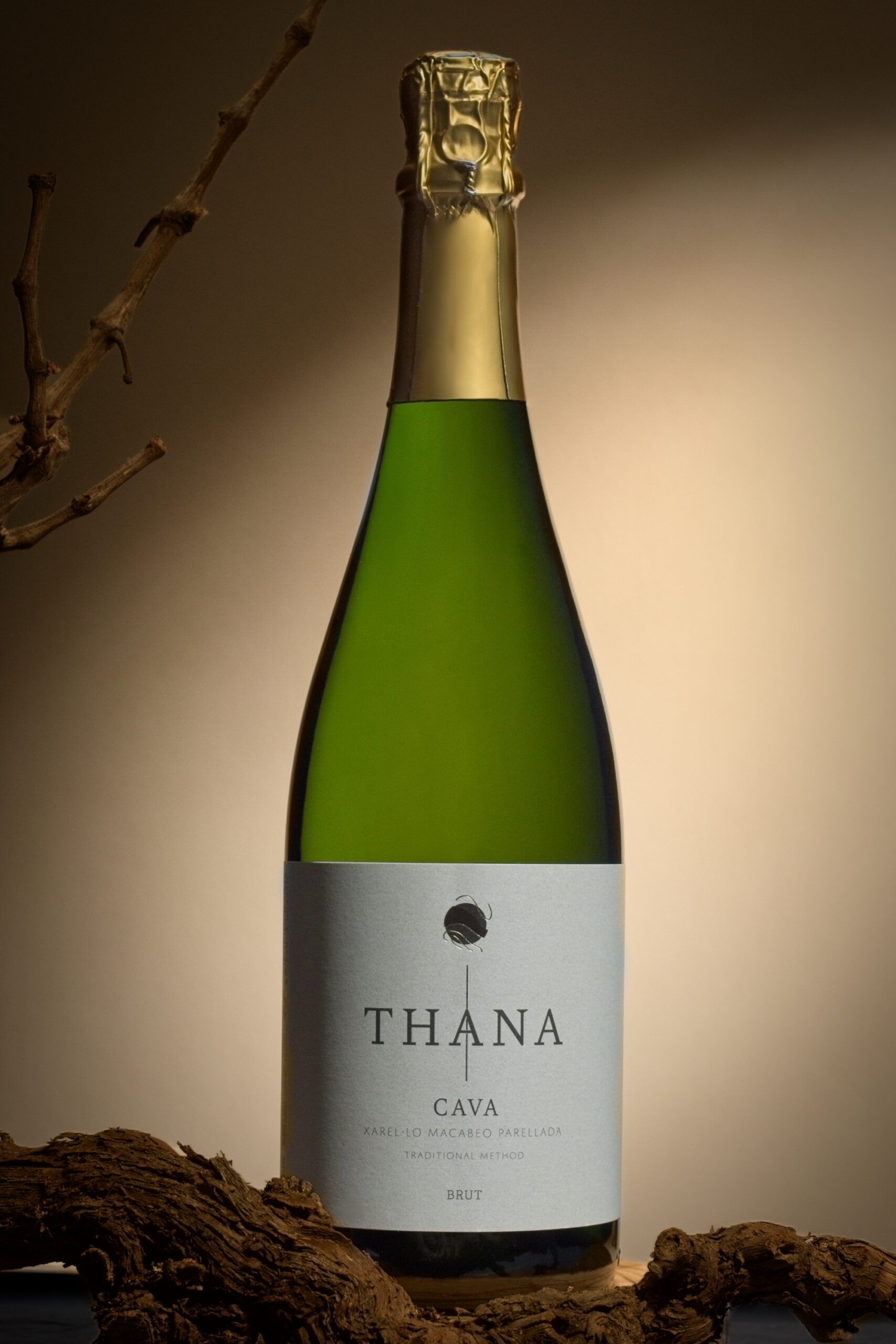 Sparkling wine from Spain