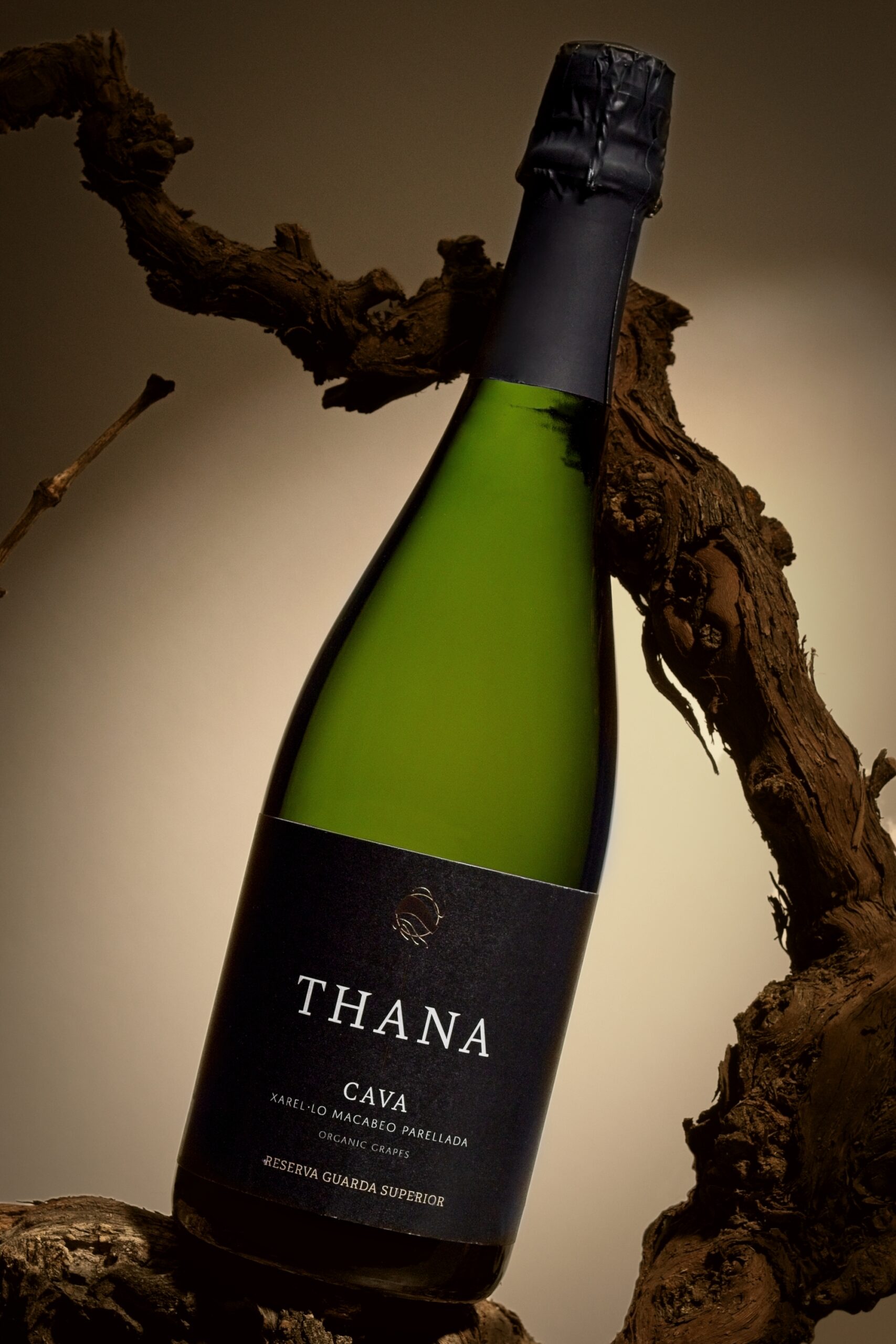 Sparkling wine from Spain