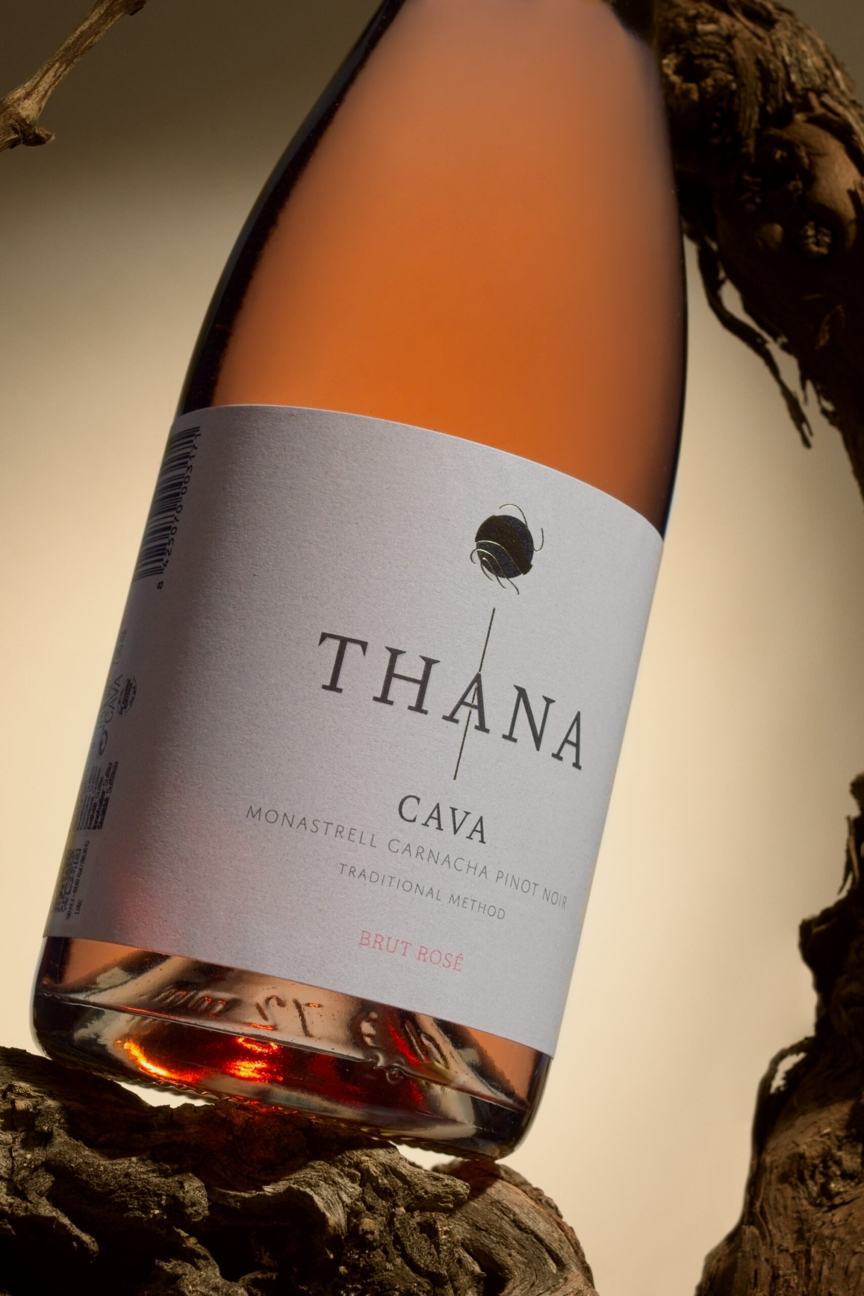 Sparkling wine from Spain